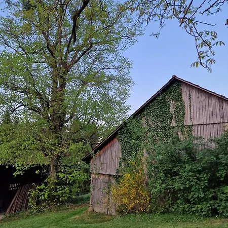 Natur- & Erlebnis Ferienhaus Voitsberg Exterior photo