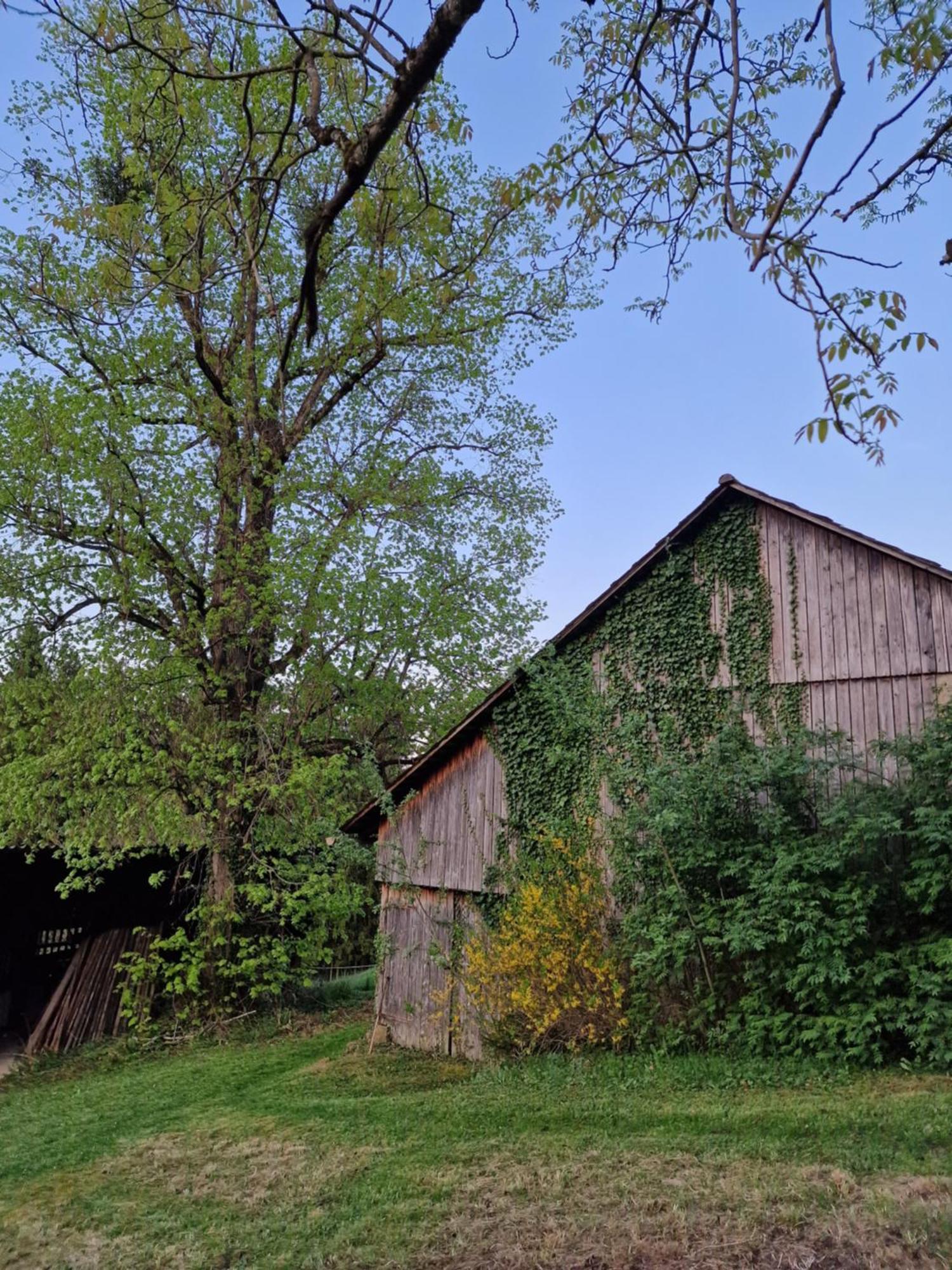 Appartement Natur- & Erlebnis *